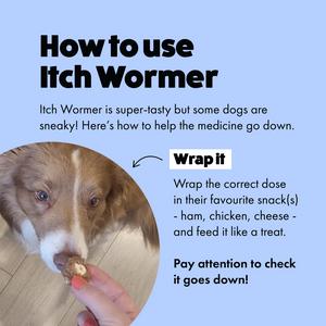 Itch Wormer Dog Worm Tablet Treatment Pack x2 - gallery image 4