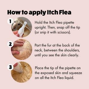Itch Flea Medium Dog Flea & Tick Spot On Treatment 1 Pipette (10-20kg) - gallery image 3