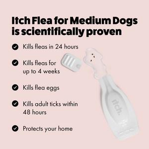 Itch Flea Medium Dog Flea & Tick Spot On Treatment 1 Pipette (10-20kg) - gallery image 4