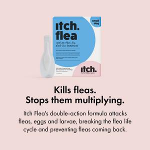 Itch Flea Small Dog Flea & Tick Spot On Treatment 1 Pipette (2-10kg) - gallery image 6