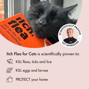Itch Flea Cats Flea & Tick Spot On Treatment 1 Pipette (1kg+) - gallery image 2