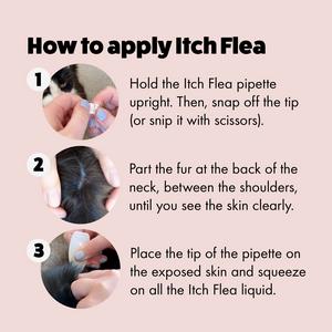 Itch Flea Cats Flea & Tick Spot On Treatment 1 Pipette (1kg+) - gallery image 3