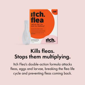 Itch Flea Cats Flea & Tick Spot On Treatment 1 Pipette (1kg+) - gallery image 6