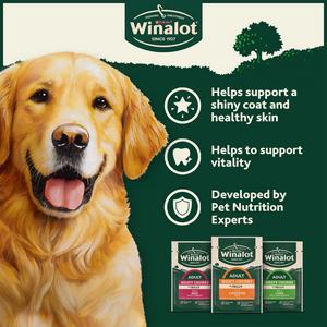 Winalot Meaty Chunks Mixed In Jelly Wet Dog Food 40 x 100g - gallery image 3