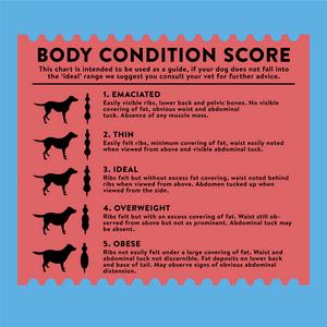 Wagg Meaty Goodness 12kg Complete Beef Dinner Adult Dog Food - gallery image 6