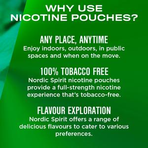 Nordic Spirit Nicotine Pouch Sweet Mint 11mg - gallery image 4