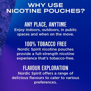Nordic Spirit Nicotine Pouch Frosty Berry 11mg - gallery image 4