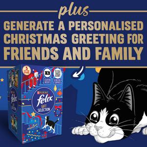 Felix 275g Christmas Gift Box Cat Treats - gallery image 5