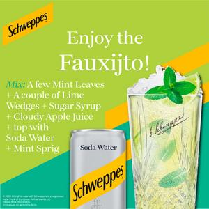 Schweppes Soda Water 12x150ml - gallery image 2