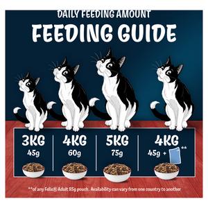 Felix Doubly Delicious Beef Chicken & Vegetables Dry Cat Food 750g - gallery image 6