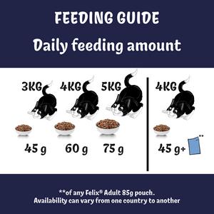 Felix Doubly Delicious Salmon & Vegetables Dry Cat Food 750g - gallery image 6