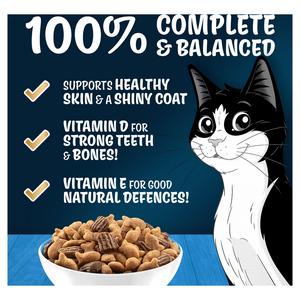 Felix Doubly Delicious Salmon & Vegetables Dry Cat Food 2kg - gallery image 4