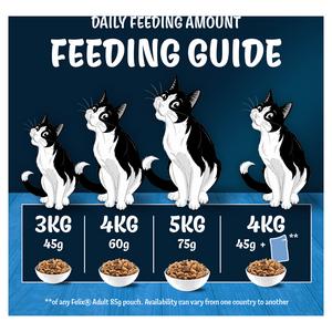 Felix Doubly Delicious Salmon & Vegetables Dry Cat Food 2kg - gallery image 6