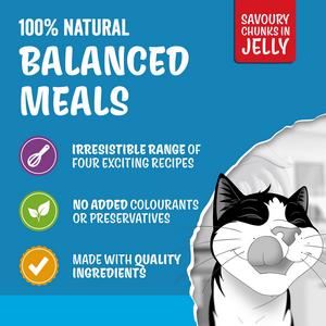 Felix Original Senior 7+ Fish Selection in Jelly Wet Cat Food 40 x 85g - gallery image 5