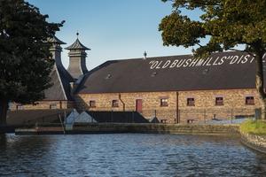 Bushmills 15 Year Old Single Malt Irish Whiskey 70cl - gallery image 5