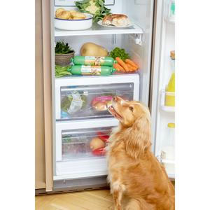 Freshpet Small Dog Chicken & Turkey Recipe with Pumpkin & Peas 400g - gallery image 4