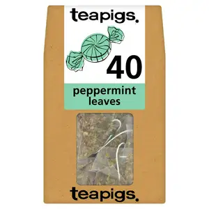 Teapigs Peppermint Leaves Tea Temples 40x2g