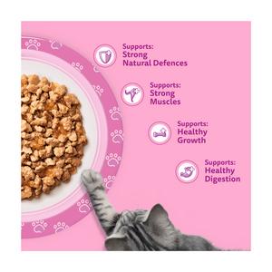 Whiskas Kitten Poultry Feasts Wet Cat Food Pouches in Jelly 40 x 85g - gallery image 3
