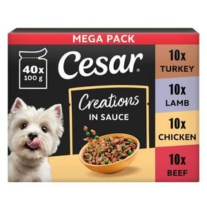 Cesar