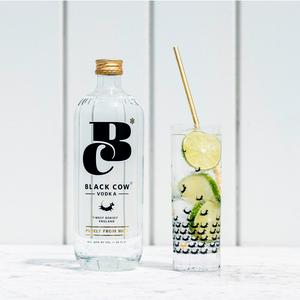 Black Cow Vodka Milk Carton 70cl - gallery image 4