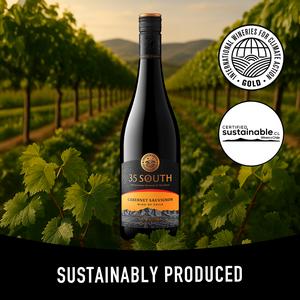 San Pedro 35 South Cabernet Sauvignon Red Wine 75cl - gallery image 3