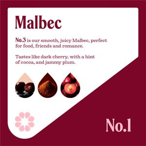 Nice Malbec Red Wine 18.7cl - gallery image 2
