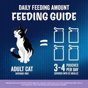 Felix As Good As it Looks Favourites Selection Wet Cat Food 40 x 85g - gallery image 6