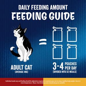 Felix Doubly Delicious Countryside Selection Wet Cat Food 40 x 85g - gallery image 6