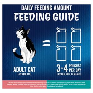Felix Doubly Delicious Ocean Recipes in Jelly Wet Cat Food 12 x 85g - gallery image 6