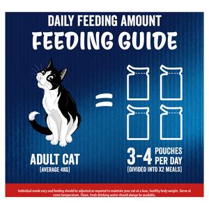 Felix As Good As it Looks Meaty Selection in Jelly Wet Cat Food 12 x 85g - gallery image 6
