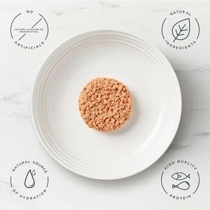 Encore Senior 7+ Fish Selection in Jelly Dry Cat Food 5 x 50g - gallery image 3