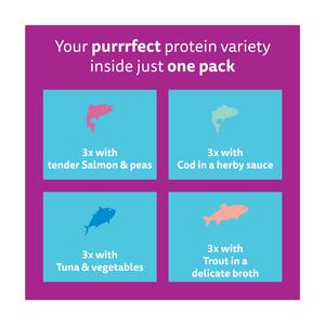 Whiskas 1+ Aromatic Seafood Delight Selection Wet Cat Food Pouches 12 x 85g - gallery image 5