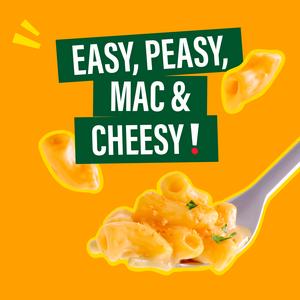 Dolmio Feasts Cheesy Mac & Cheese Pasta Ready Meal 250g - gallery image 5