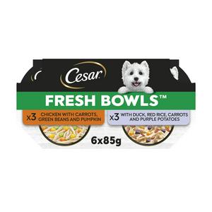 Cesar