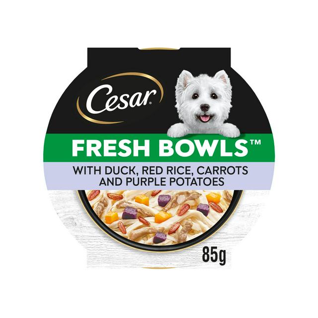 Cesar Fresh Bowl Adult Wet Dog Food with Duck, Red Rice, Carrots