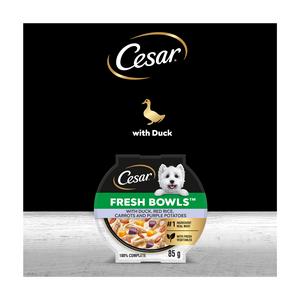Cesar Fresh Bowl Adult Wet Dog Food with Duck, Red Rice, Carrots, Potato in Gravy 85g - gallery image 5