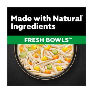 Cesar Fresh Bowl Adult Wet Dog Food with Chicken, Carrots, Beans, Pumpkin in Gravy 85g - gallery image 2