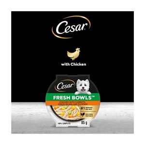 Cesar Fresh Bowl Adult Wet Dog Food with Chicken, Carrots, Beans, Pumpkin in Gravy 85g - gallery image 5