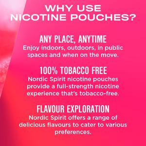 Nordic Spirit Nicotine Pouch Raspberry 9mg - gallery image 6