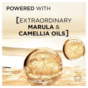 L'Oréal Paris Elvive Extraordinary Oil Nourishing Shampoo for Dry Hair 400ml - gallery image 4