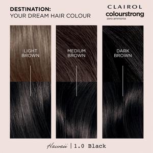 Clairol Colour Strong Black 1.0 Permanent Hair Dye - gallery image 4