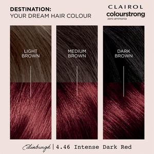 Clairol Colour Strong Intense Dark Red 4.46 Permanent Hair Dye - gallery image 3