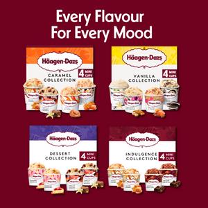 Haagen-Dazs Dessert Collection Mini Ice Cream Tubs 4 x 95ml - gallery image 4