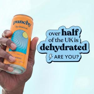 Punchy Hydration 4 x 330ml Mango with Minerals & Vitamins Electrolyte Drinks - gallery image 3