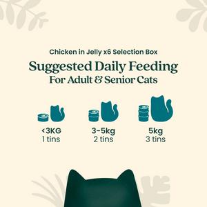 Untamed Wet Cat Food in Jelly Chicken Selection Box 6 x 75g - gallery image 6