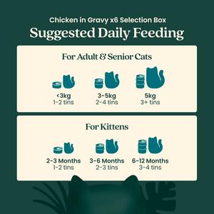 Untamed Wet Cat Food in Gravy Chicken Selection Box 6 x 75g - gallery image 6