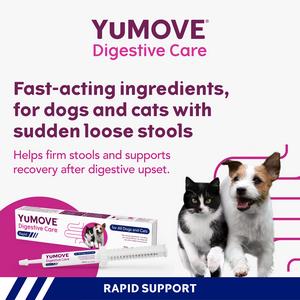 Yumove Digestive Care Rapid for All Dogs & Cats Tasty Paste 30ml - gallery image 3