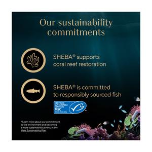 Sheba Fillets 60g Chicken in Gravy Adult Wet Cat Food Tray - gallery image 5