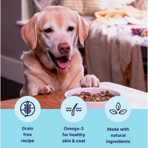 Tails.com Inner Vitality 60% Beef Adult Dog Food 1-7 Years 150g - gallery image 2