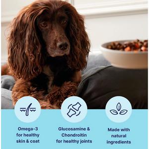 Tails.com Inner Vitality Adult Dog Food 1-7 Years 6 x 150g - gallery image 2